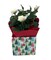White Miniature Kordana Rose Bush in Holiday Gift Box - Great Gift!